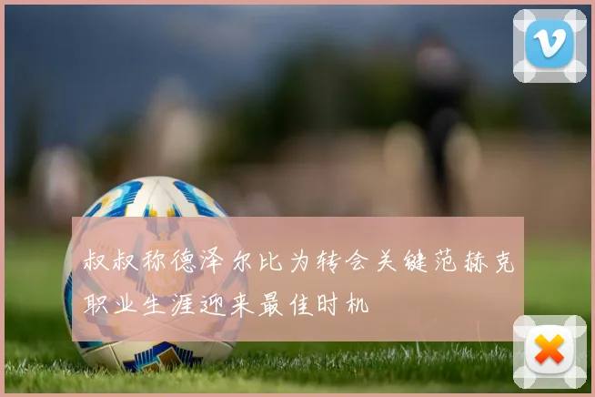 叔叔称德泽尔比为转会关键范赫克职业生涯迎来最佳时机